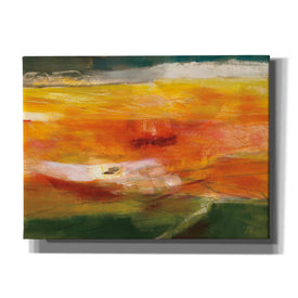 'Bog Journey' by Jo Maye, Canvas Wall Art