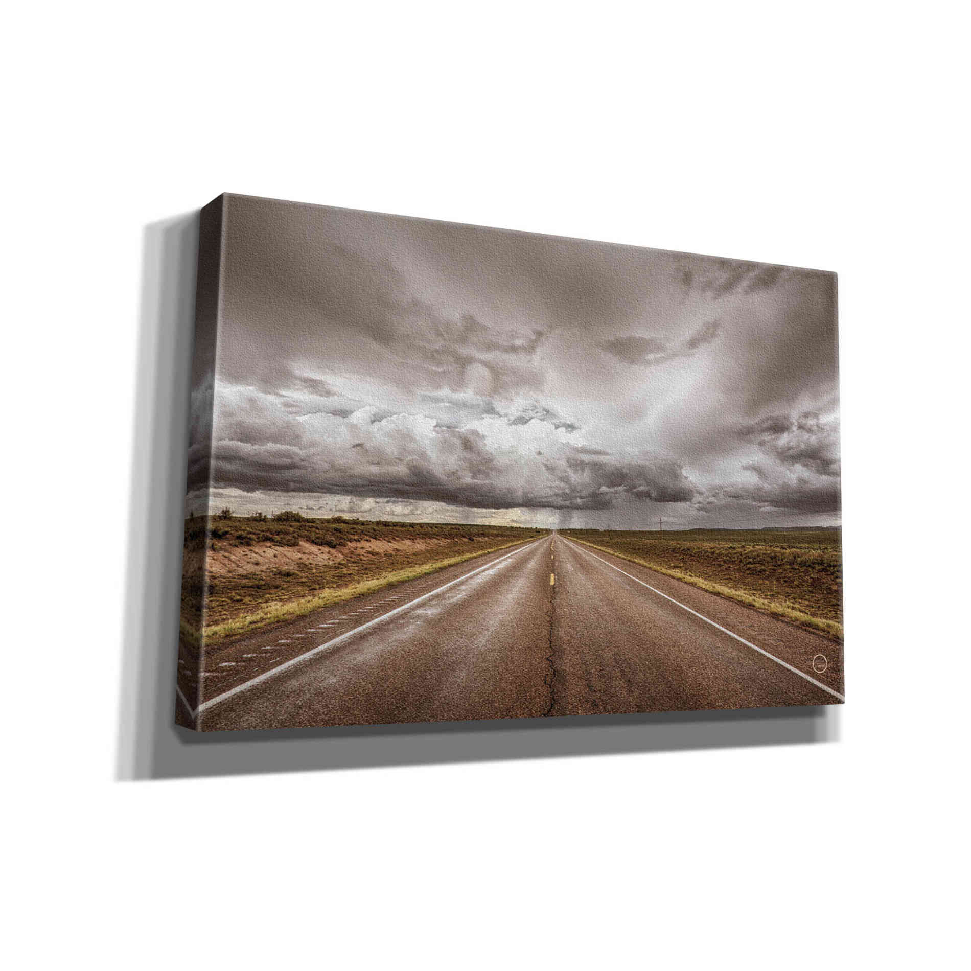 'Into The Storm' by Nathan Larson, Canvas Wall Art