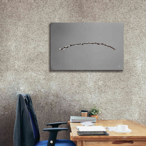 Image of 'Springtime in the Air' by Nathan Larson, Canvas Wall Art,40 x 26