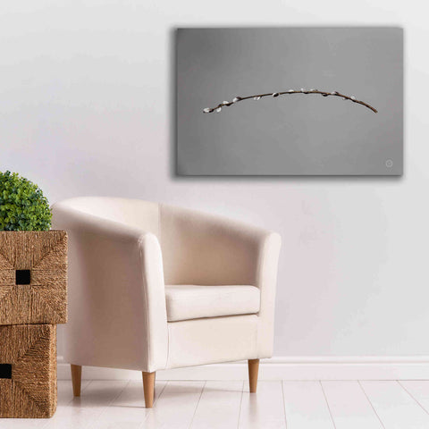 Image of 'Springtime in the Air' by Nathan Larson, Canvas Wall Art,40 x 26