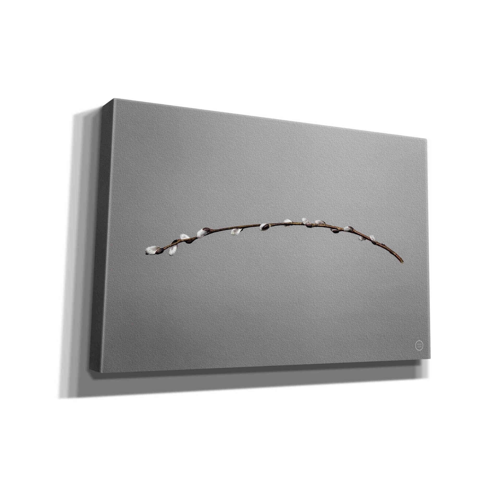 'Springtime in the Air' by Nathan Larson, Canvas Wall Art