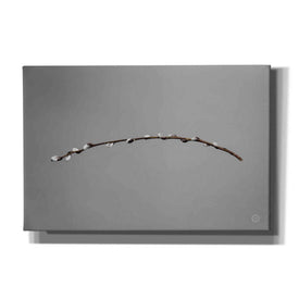 'Springtime in the Air' by Nathan Larson, Canvas Wall Art