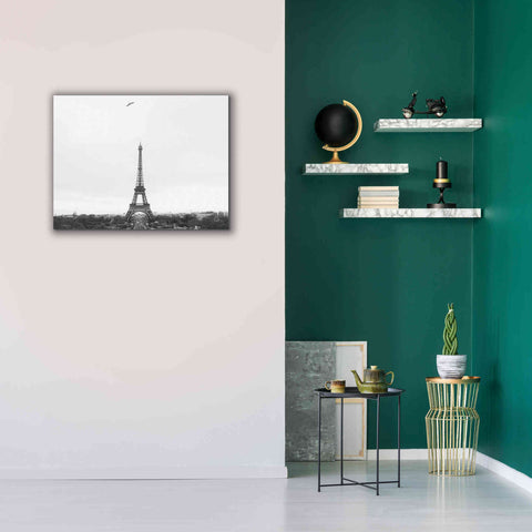 Image of 'A Birds View of Paris' by Nathan Larson, Canvas Wall Art,34 x 26