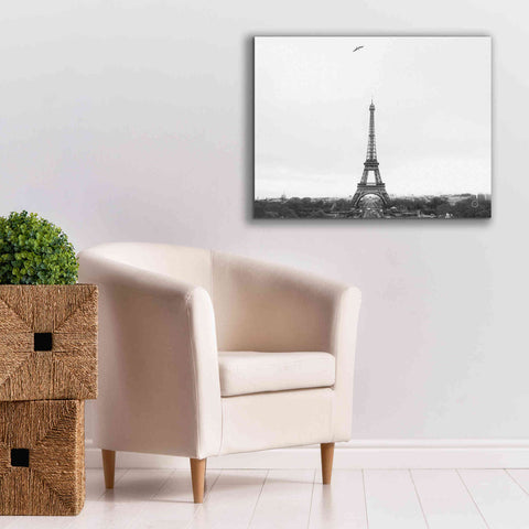 Image of 'A Birds View of Paris' by Nathan Larson, Canvas Wall Art,34 x 26