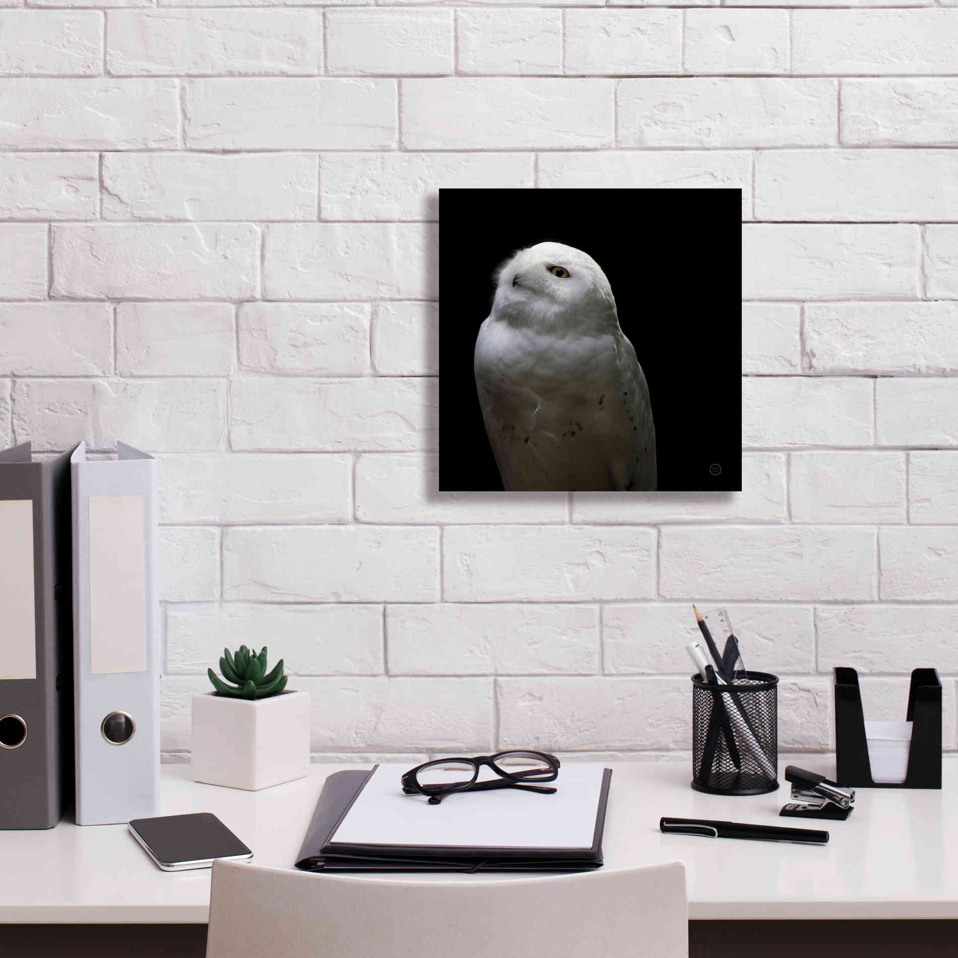 'Snowy Owl Looks to the Sun' by Nathan Larson, Canvas Wall Art,12 x 12