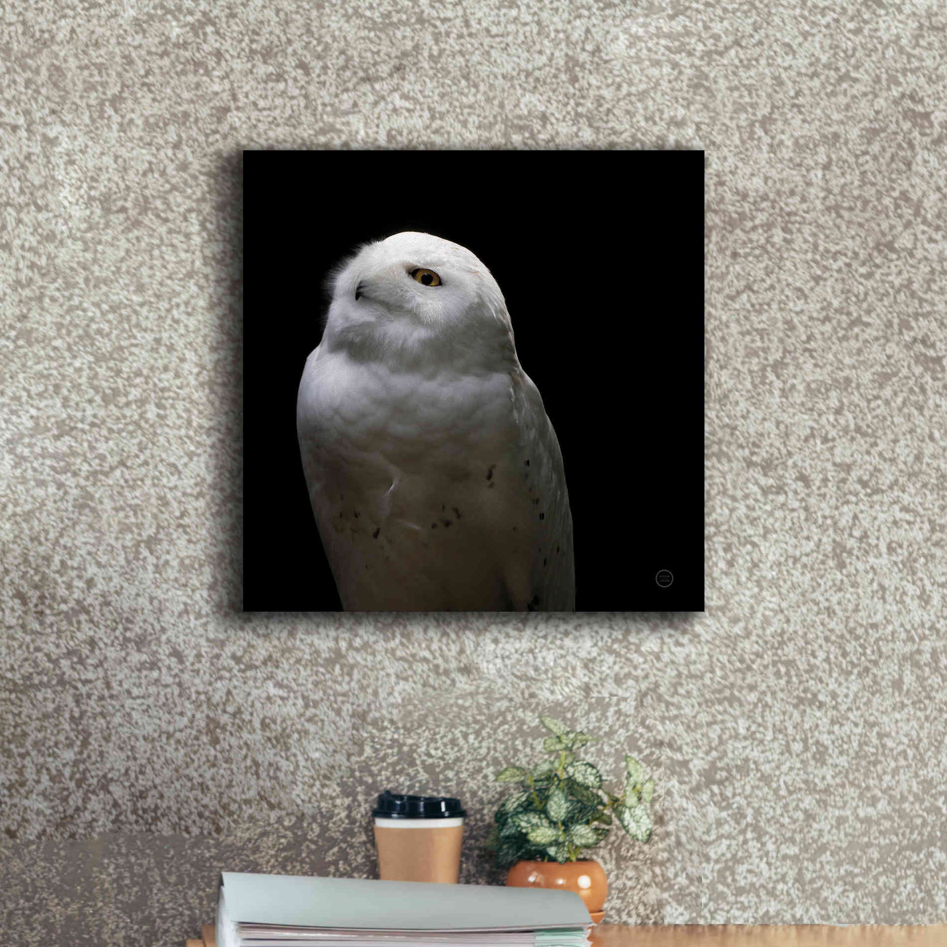 'Snowy Owl Looks to the Sun' by Nathan Larson, Canvas Wall Art,18 x 18