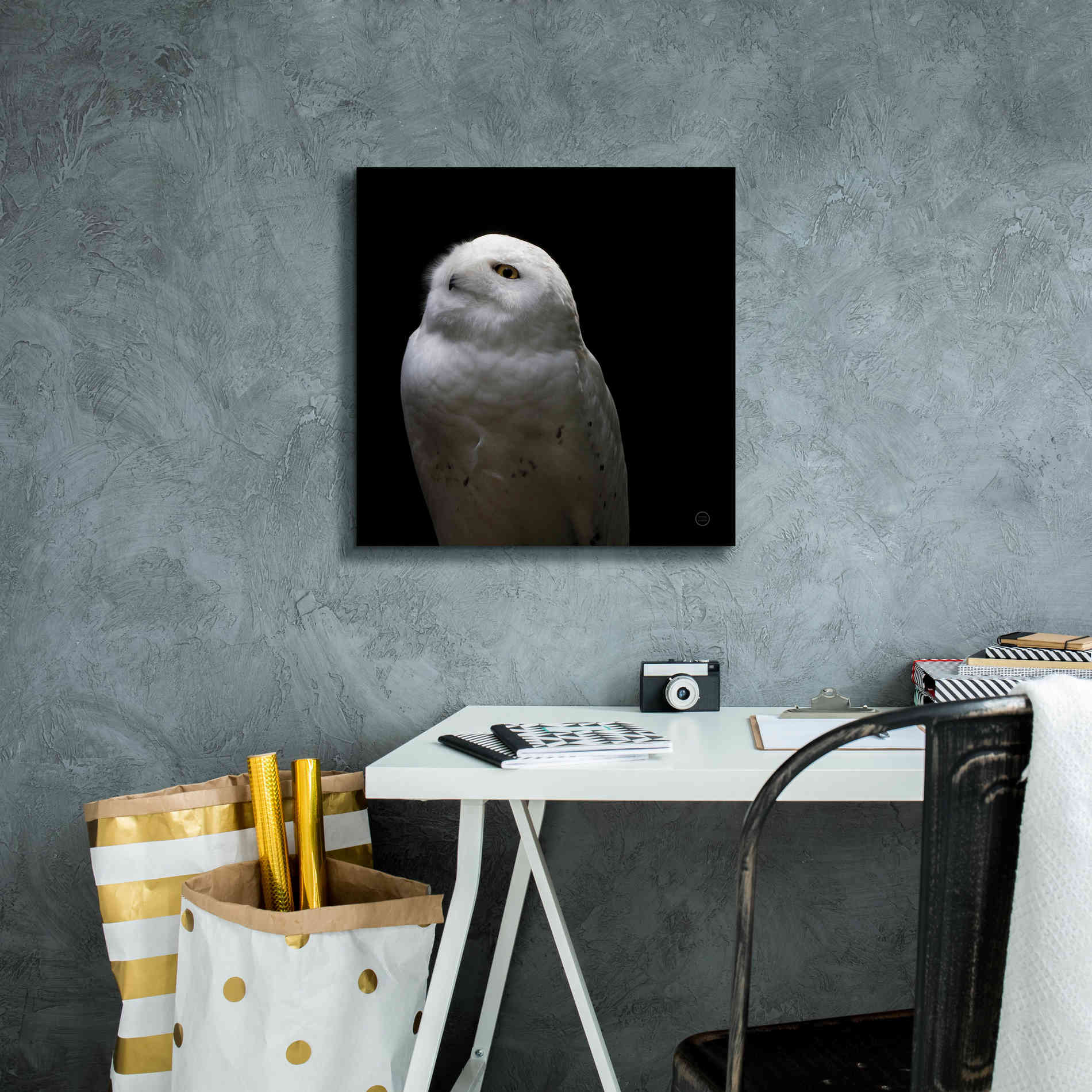 'Snowy Owl Looks to the Sun' by Nathan Larson, Canvas Wall Art,18 x 18