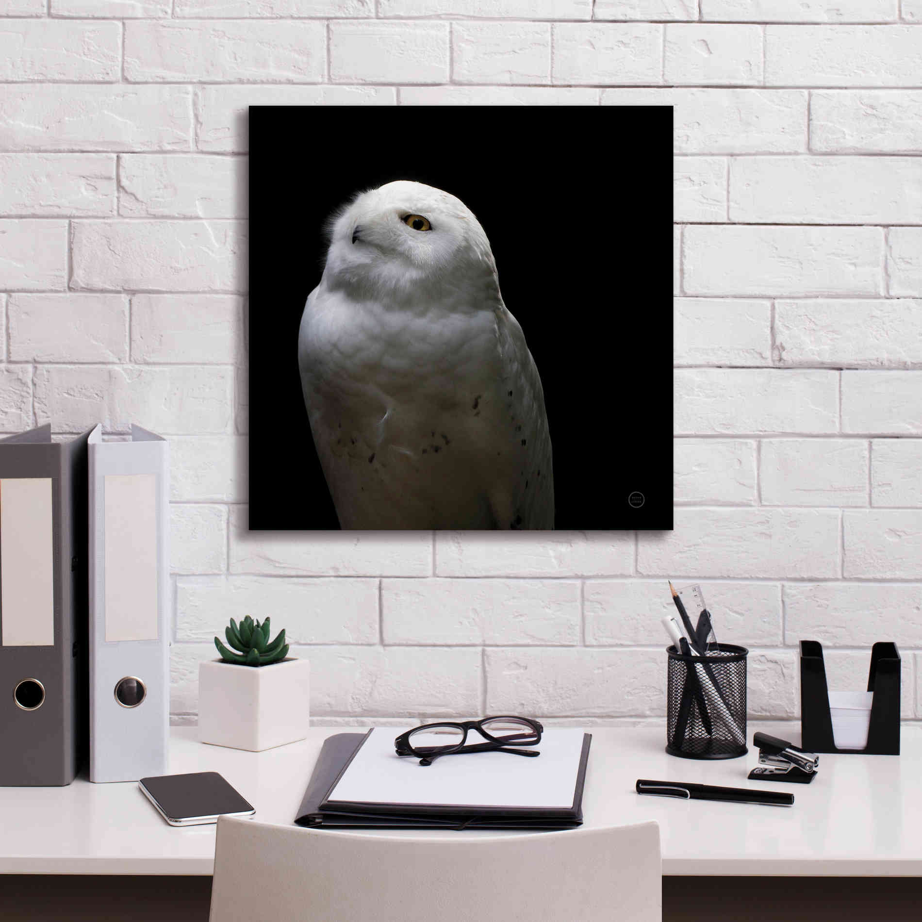 'Snowy Owl Looks to the Sun' by Nathan Larson, Canvas Wall Art,18 x 18