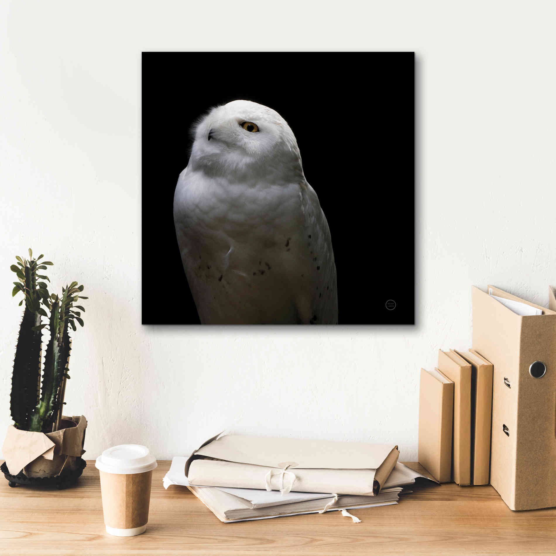 'Snowy Owl Looks to the Sun' by Nathan Larson, Canvas Wall Art,18 x 18