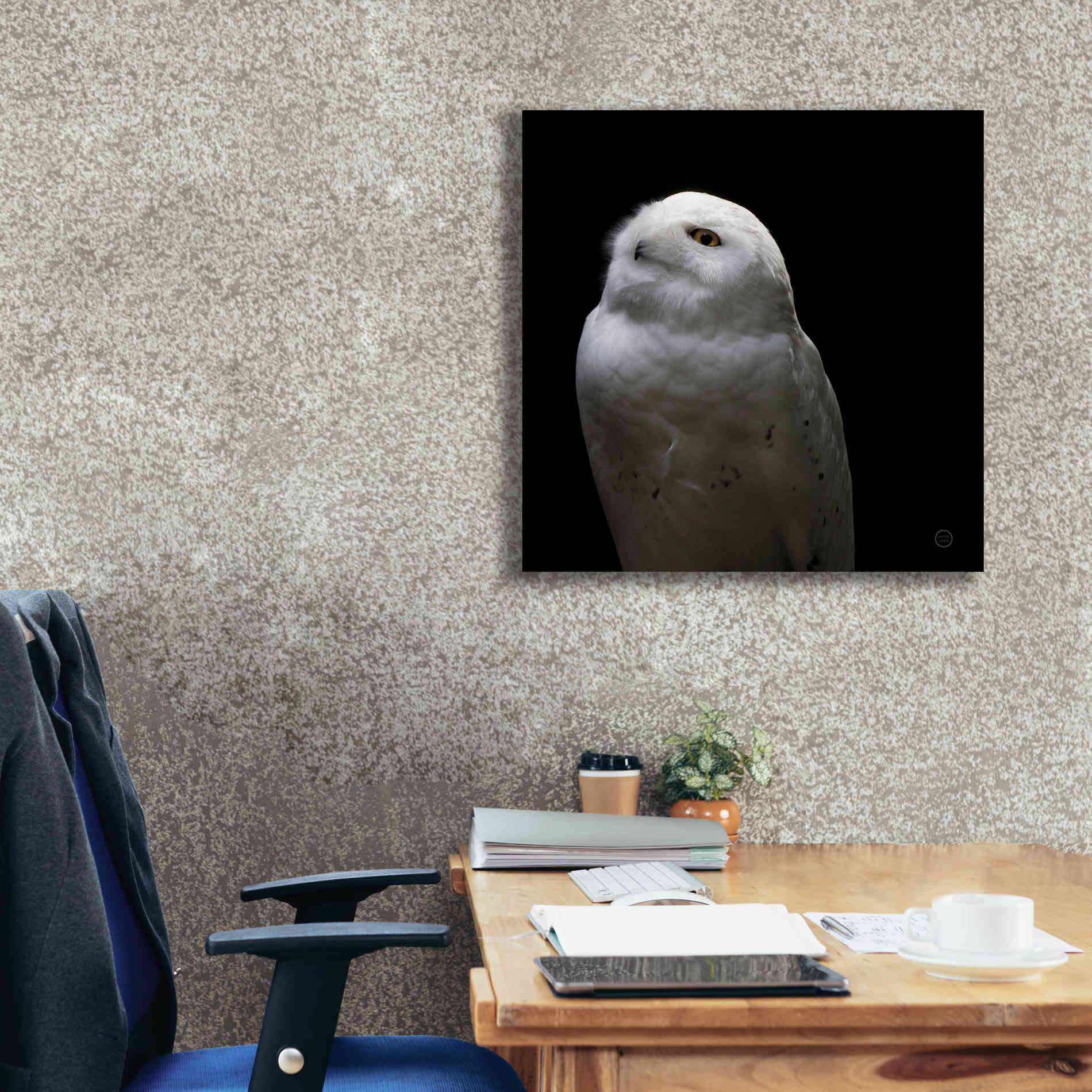 'Snowy Owl Looks to the Sun' by Nathan Larson, Canvas Wall Art,26 x 26