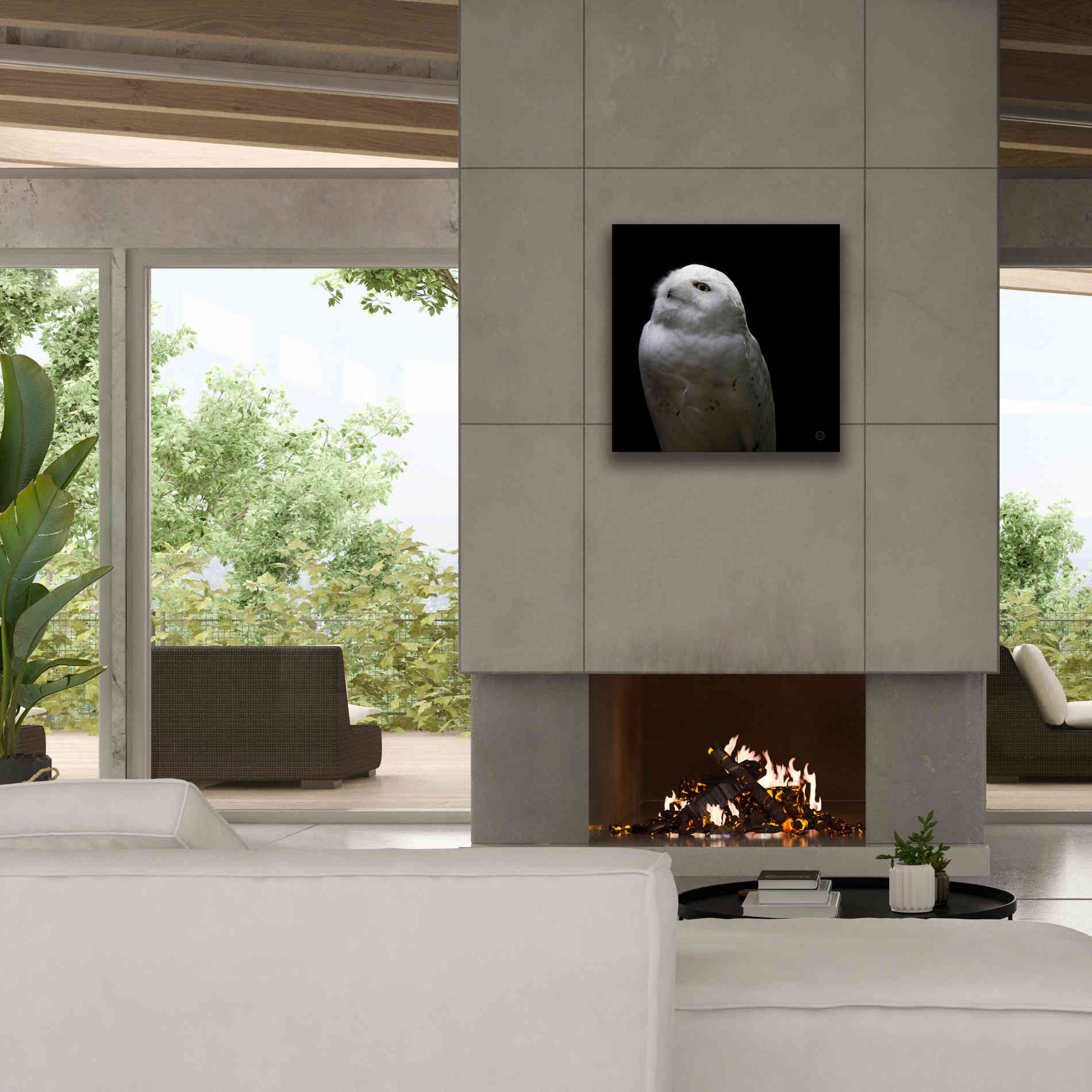 'Snowy Owl Looks to the Sun' by Nathan Larson, Canvas Wall Art,26 x 26