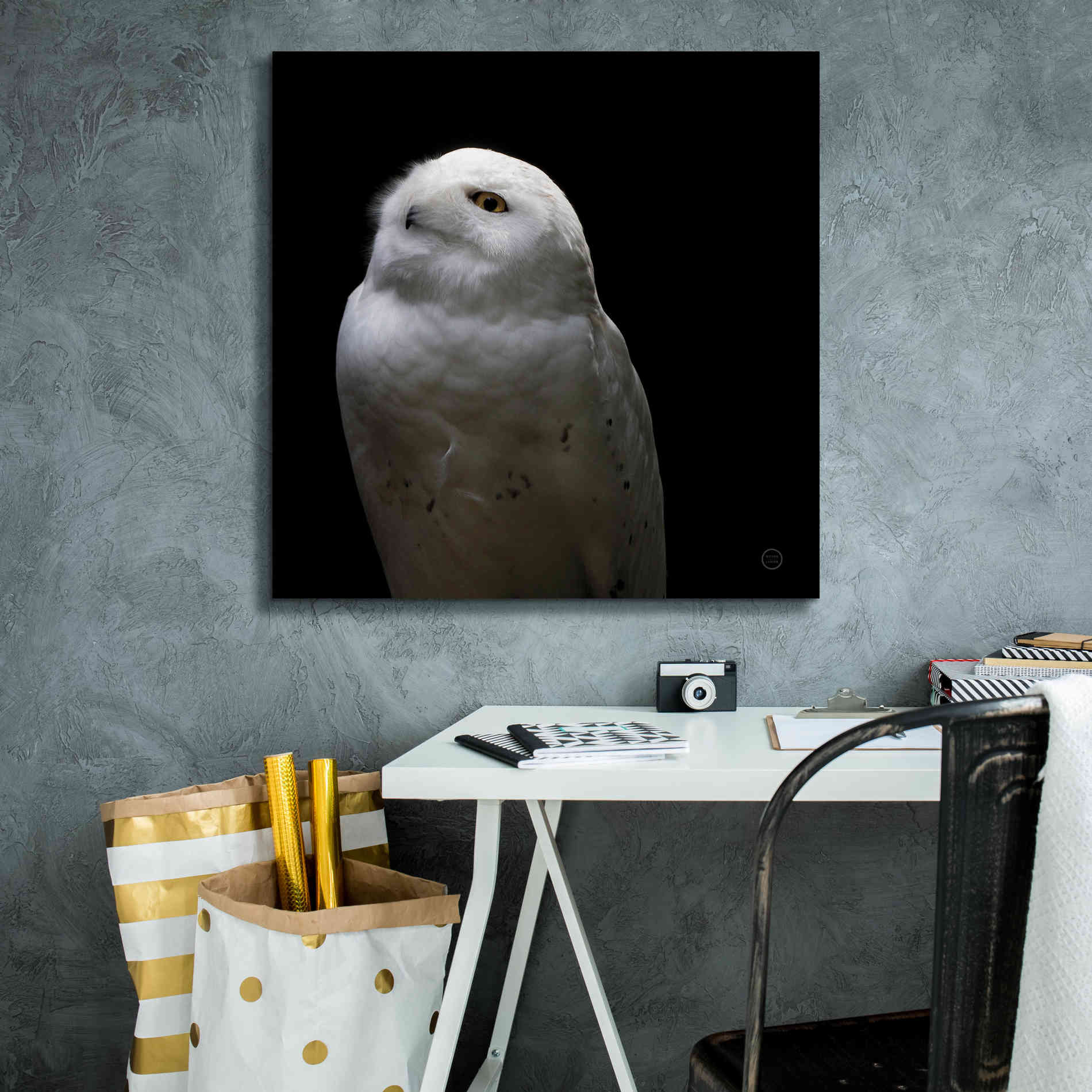 'Snowy Owl Looks to the Sun' by Nathan Larson, Canvas Wall Art,26 x 26