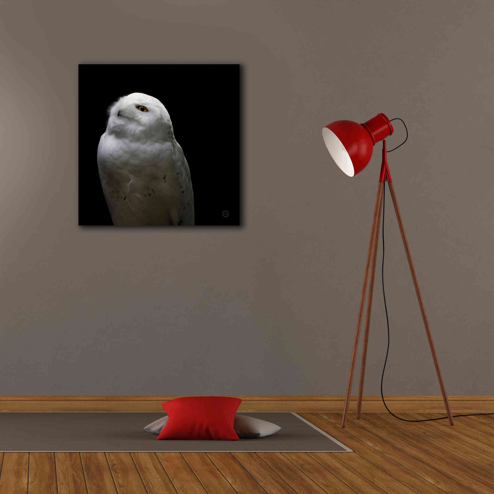 'Snowy Owl Looks to the Sun' by Nathan Larson, Canvas Wall Art,26 x 26