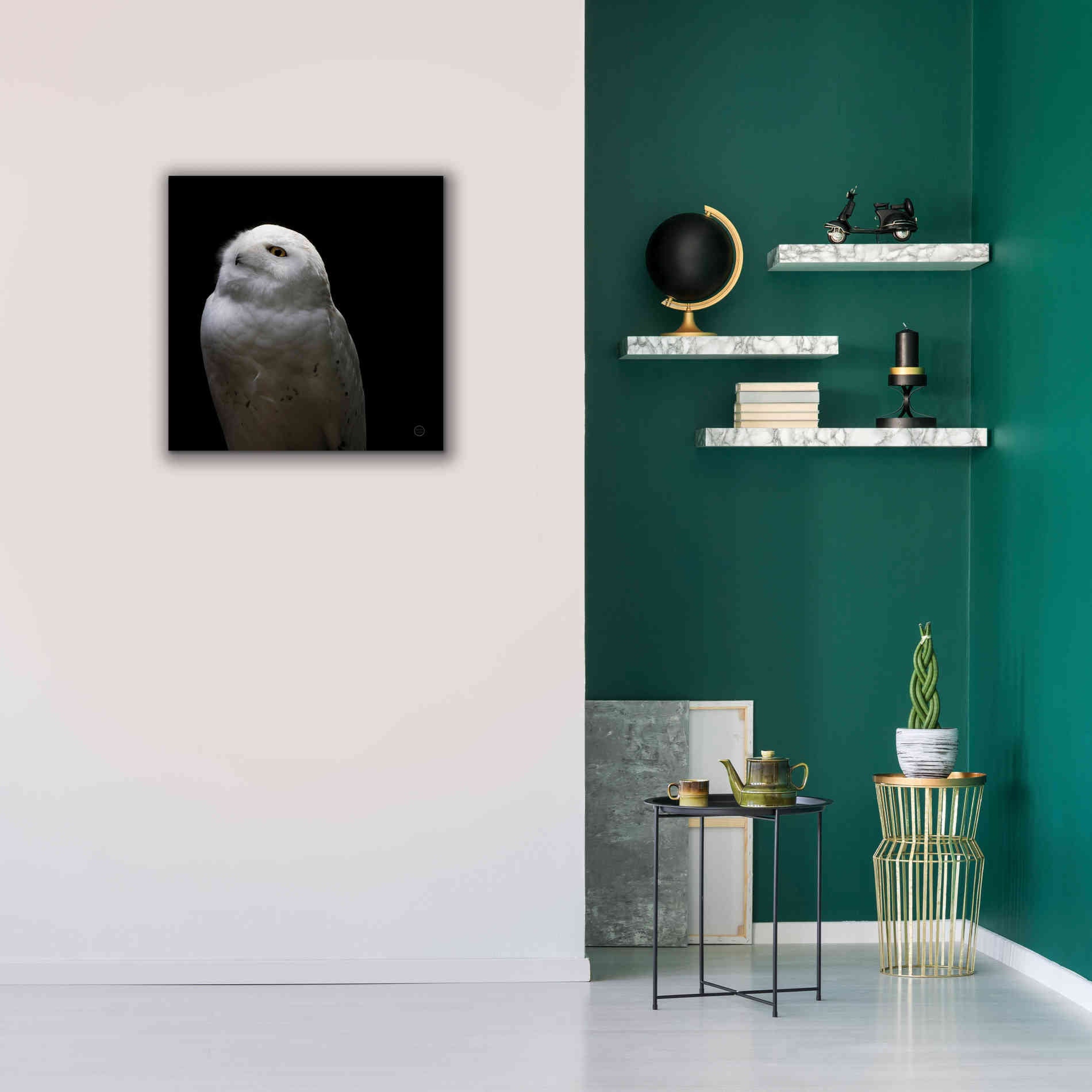 'Snowy Owl Looks to the Sun' by Nathan Larson, Canvas Wall Art,26 x 26