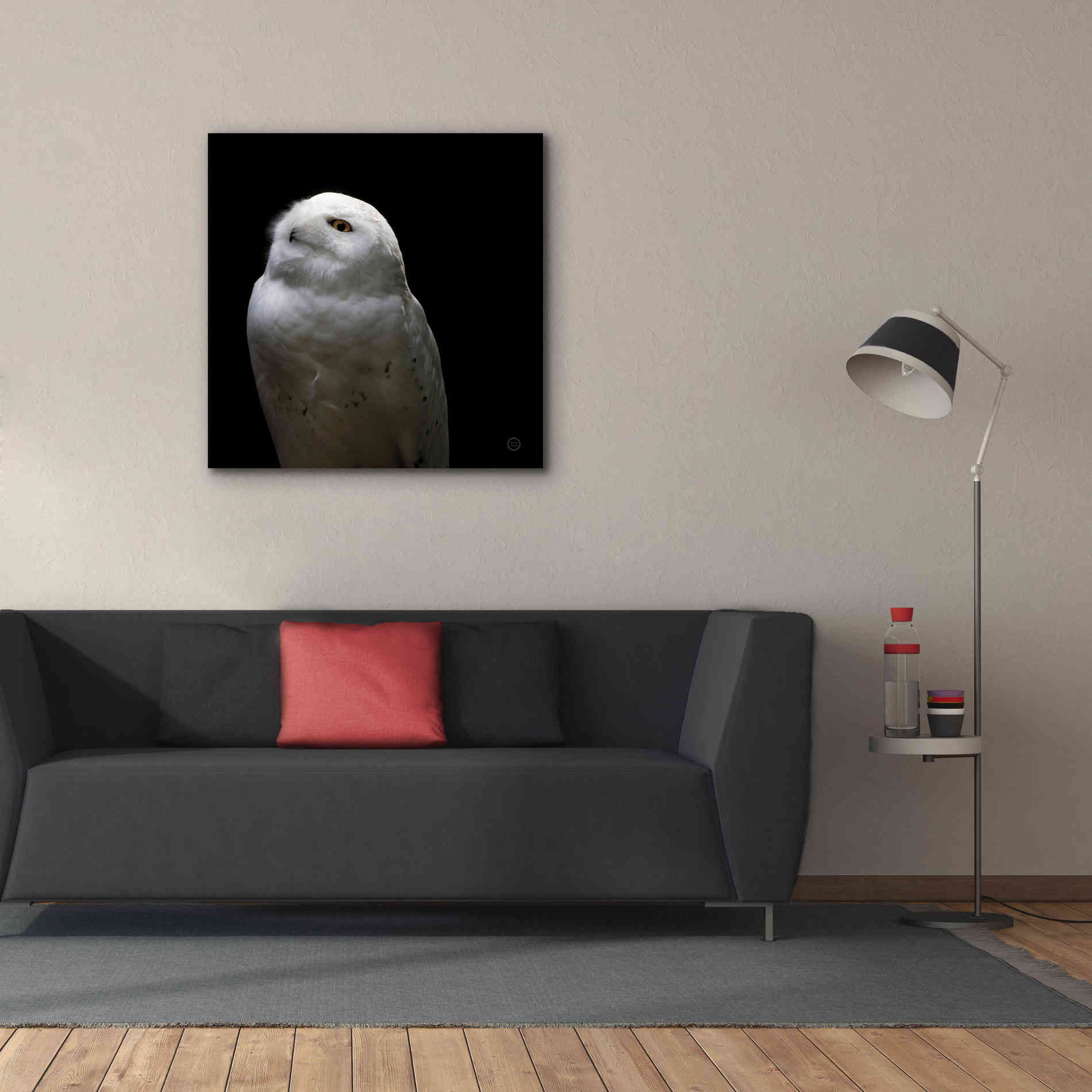 'Snowy Owl Looks to the Sun' by Nathan Larson, Canvas Wall Art,37 x 37