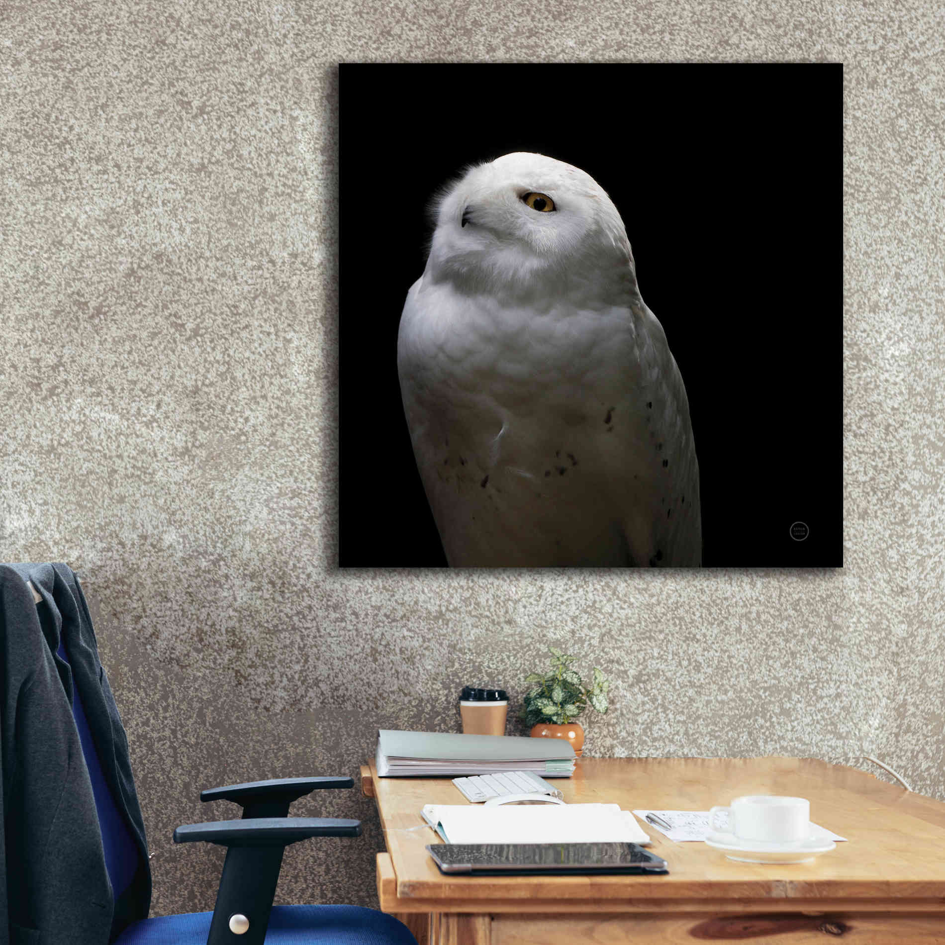 'Snowy Owl Looks to the Sun' by Nathan Larson, Canvas Wall Art,37 x 37