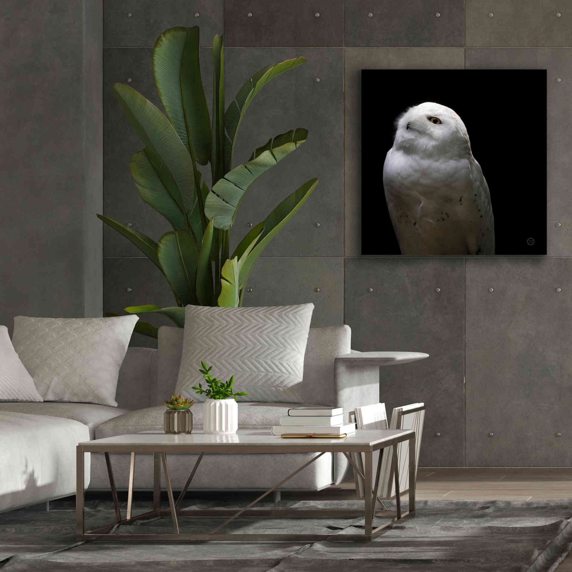 'Snowy Owl Looks to the Sun' by Nathan Larson, Canvas Wall Art,37 x 37