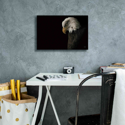 Image of 'Eagle Bow' by Nathan Larson, Canvas Wall Art,18 x 12