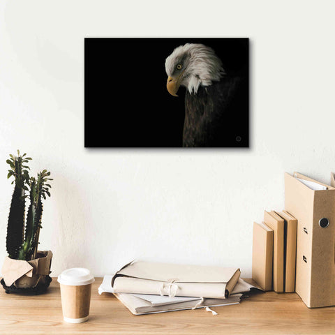 Image of 'Eagle Bow' by Nathan Larson, Canvas Wall Art,18 x 12