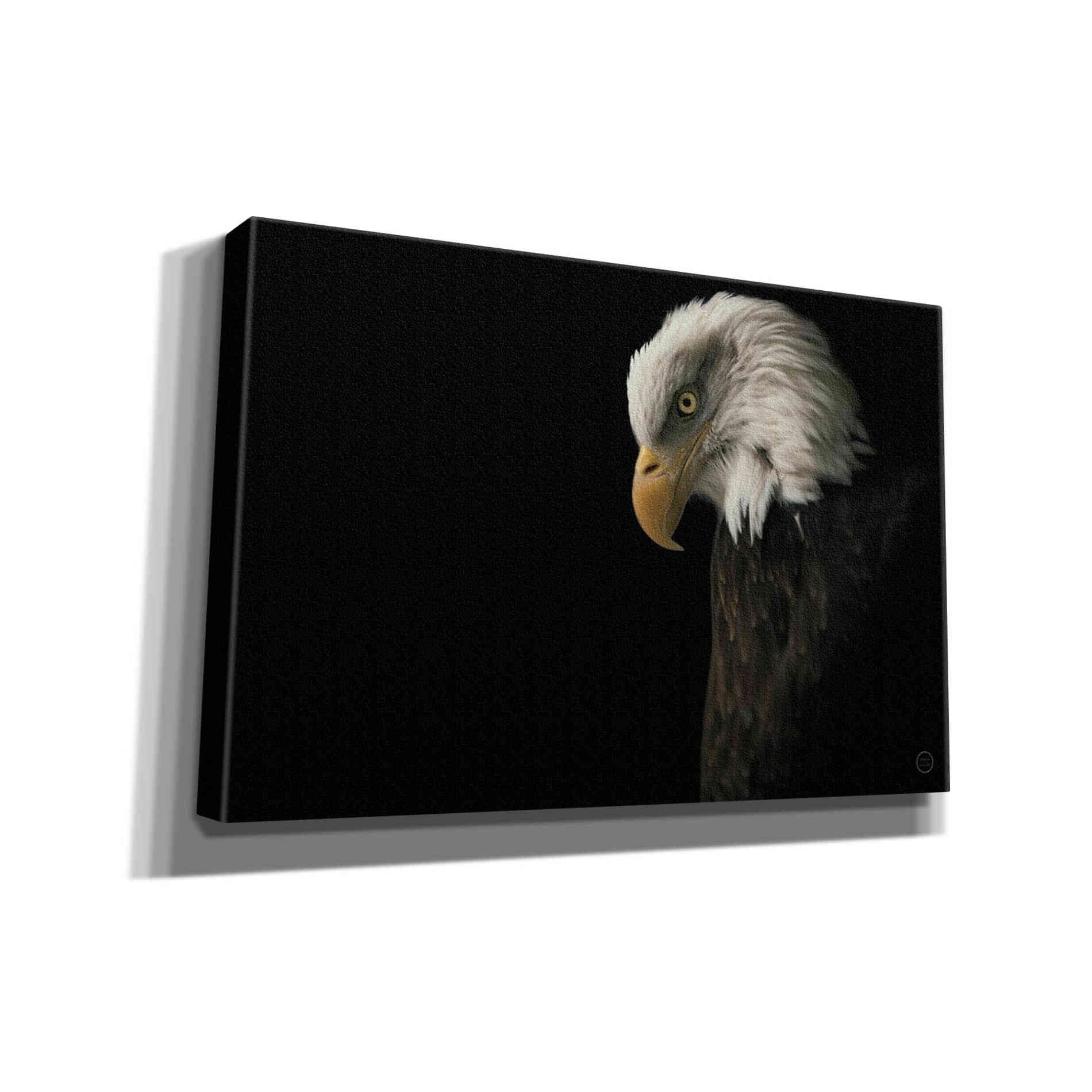 'Eagle Bow' by Nathan Larson, Canvas Wall Art