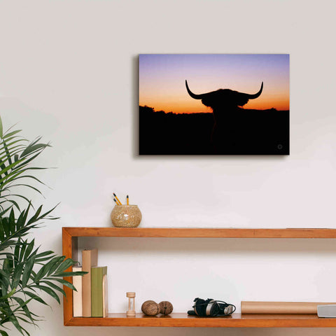 Image of 'Bull Set' by Nathan Larson, Canvas Wall Art,18 x 12