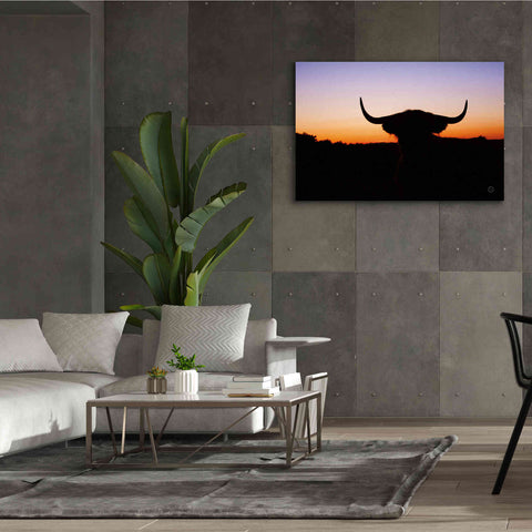 Image of 'Bull Set' by Nathan Larson, Canvas Wall Art,60 x 40