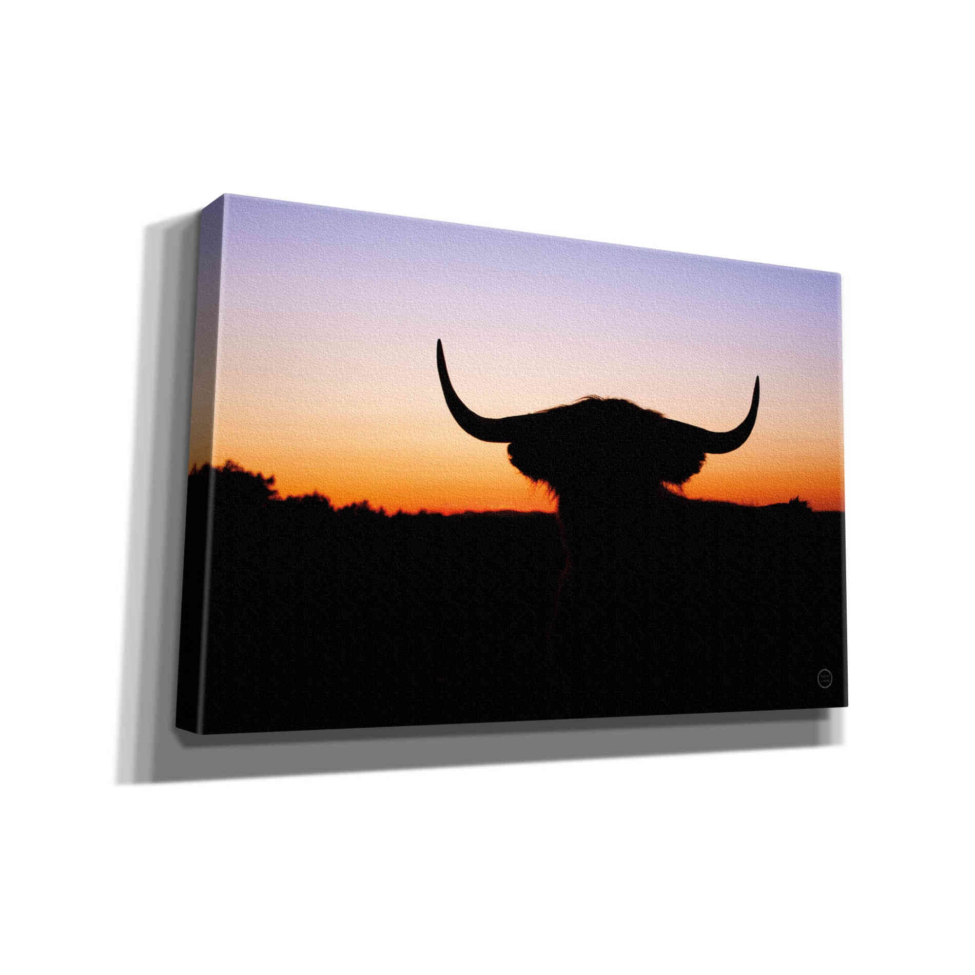 'Bull Set' by Nathan Larson, Canvas Wall Art