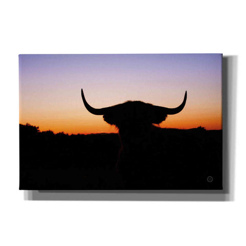 Image of 'Bull Set' by Nathan Larson, Canvas Wall Art