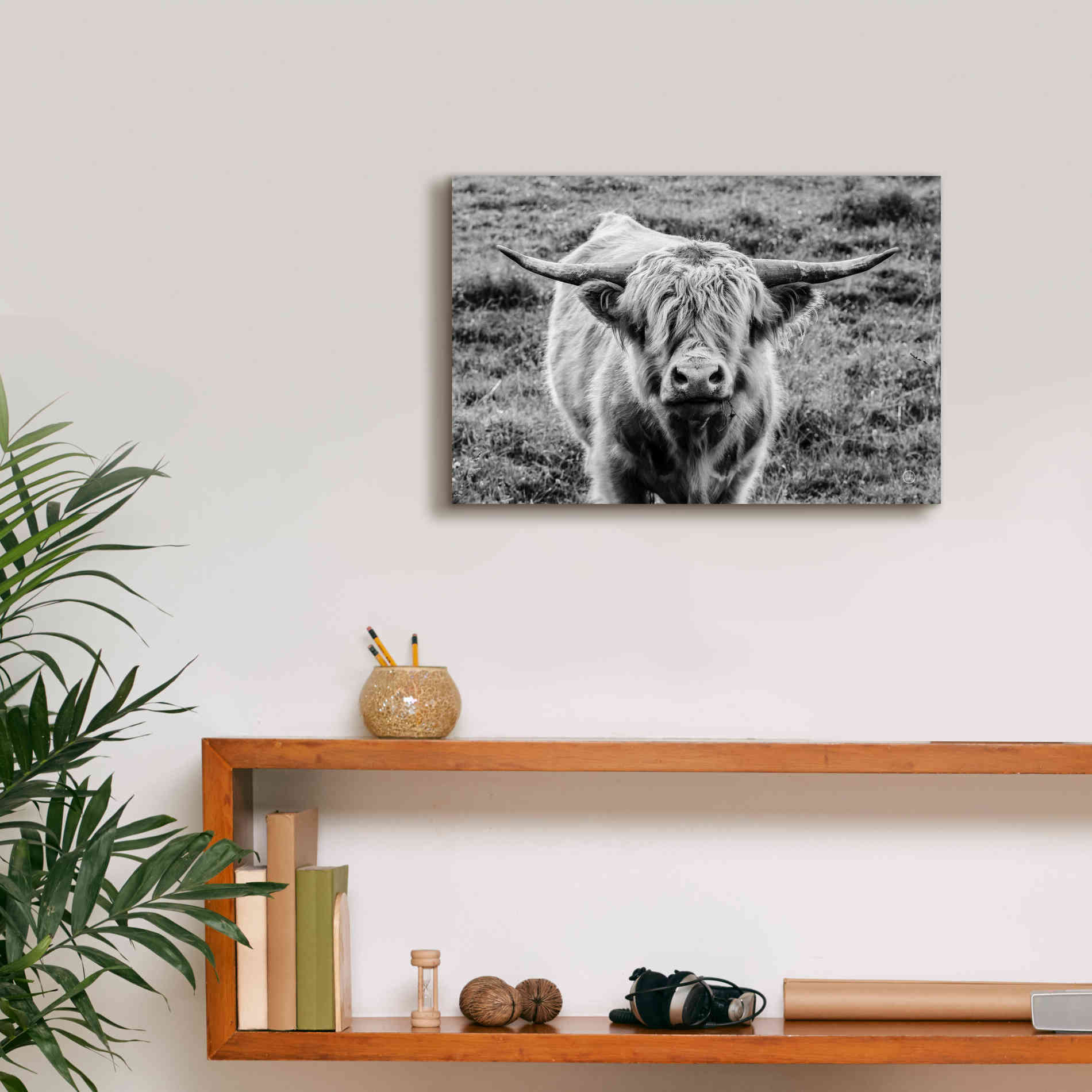 'Highland Cow Staring Contest' by Nathan Larson, Canvas Wall Art,18 x 12