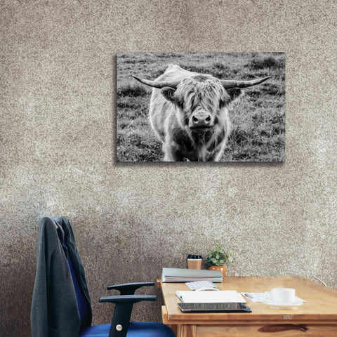 Image of 'Highland Cow Staring Contest' by Nathan Larson, Canvas Wall Art,40 x 26