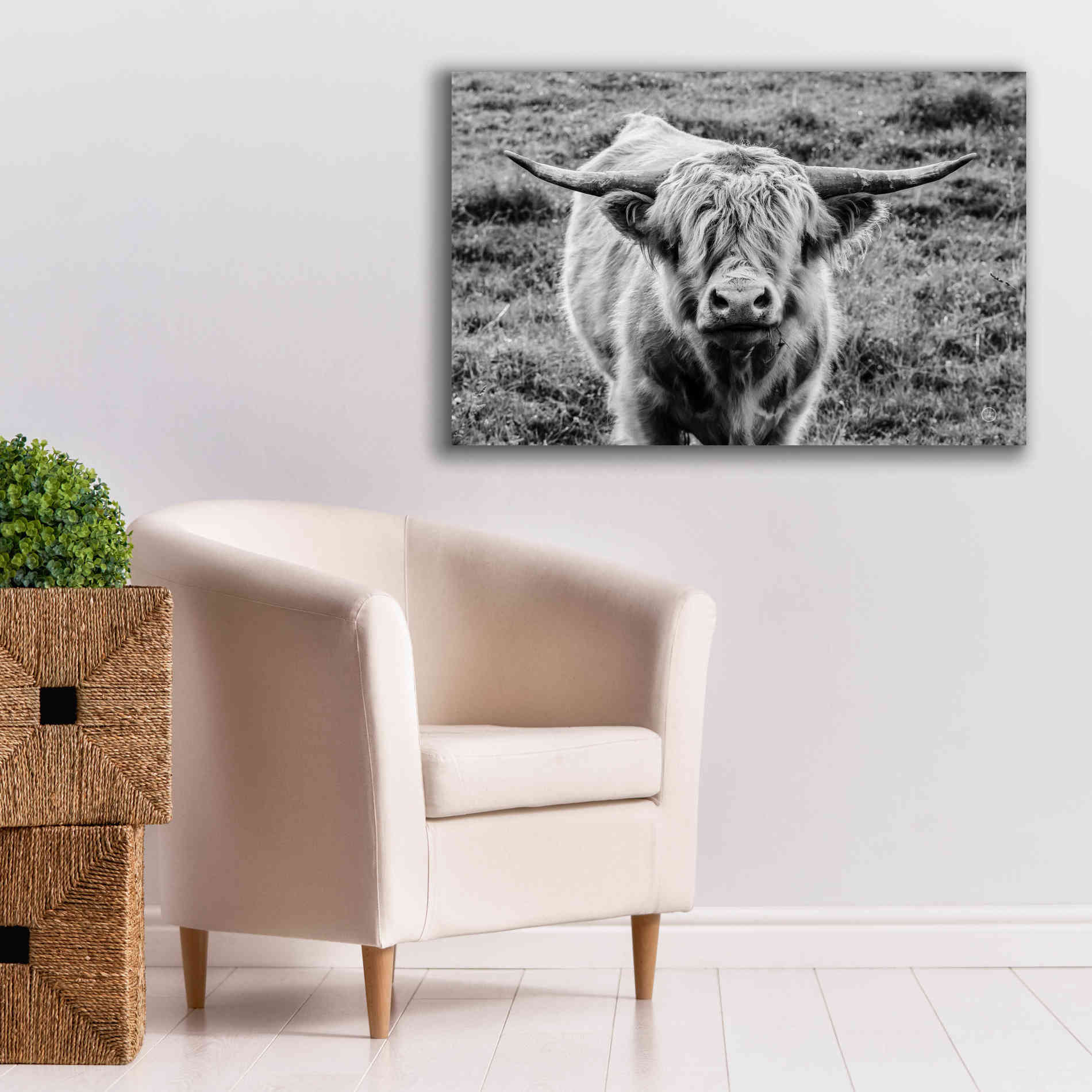 'Highland Cow Staring Contest' by Nathan Larson, Canvas Wall Art,40 x 26