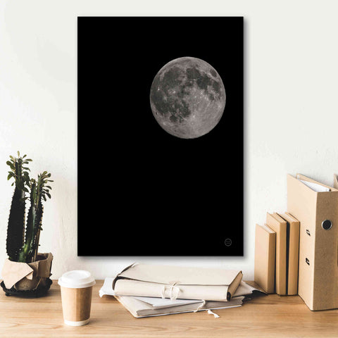 Image of 'Moon Detail I' by Nathan Larson, Canvas Wall Art,18 x 26
