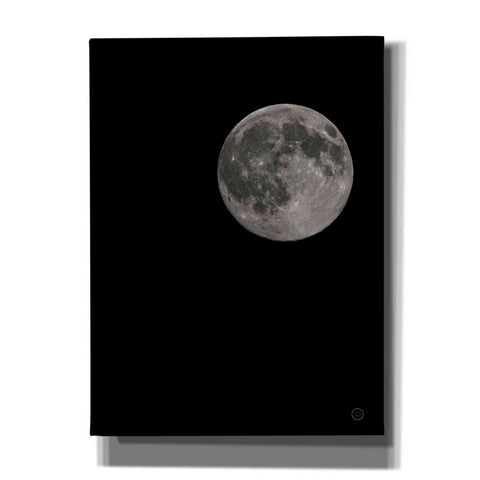 Image of 'Moon Detail I' by Nathan Larson, Canvas Wall Art