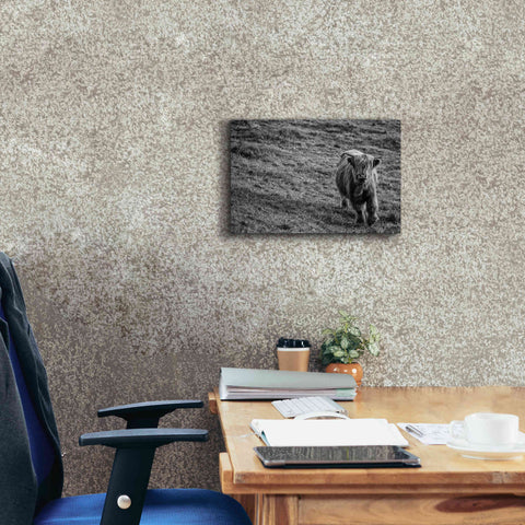 Image of 'Highland Cow Calf in the Wind' by Nathan Larson, Canvas Wall Art,18 x 12