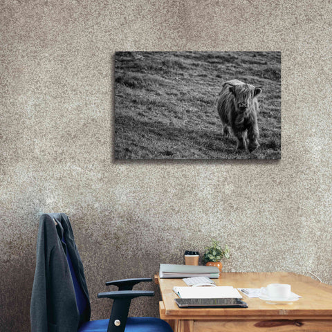 Image of 'Highland Cow Calf in the Wind' by Nathan Larson, Canvas Wall Art,40 x 26