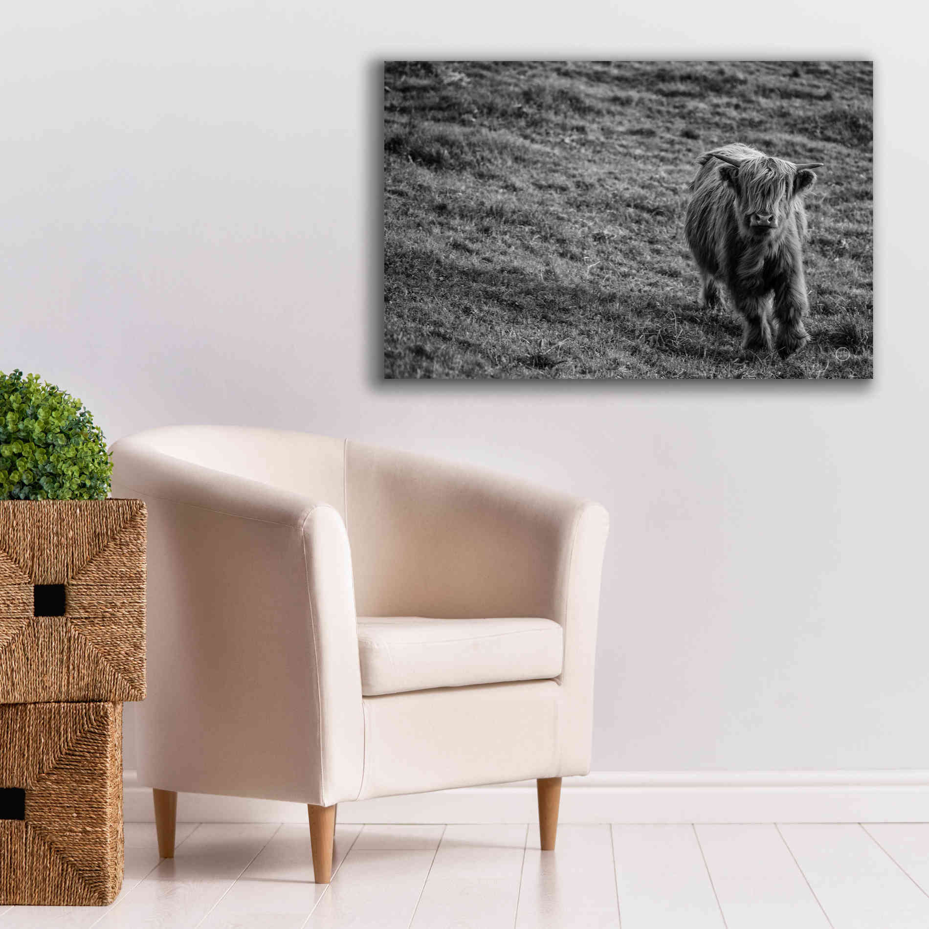 'Highland Cow Calf in the Wind' by Nathan Larson, Canvas Wall Art,40 x 26