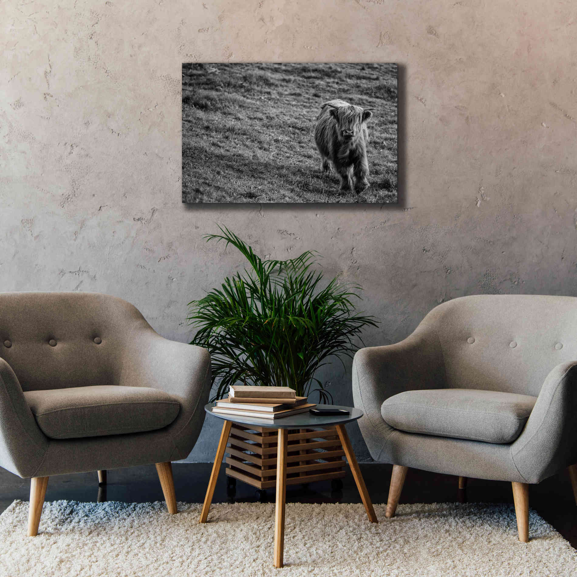 'Highland Cow Calf in the Wind' by Nathan Larson, Canvas Wall Art,40 x 26
