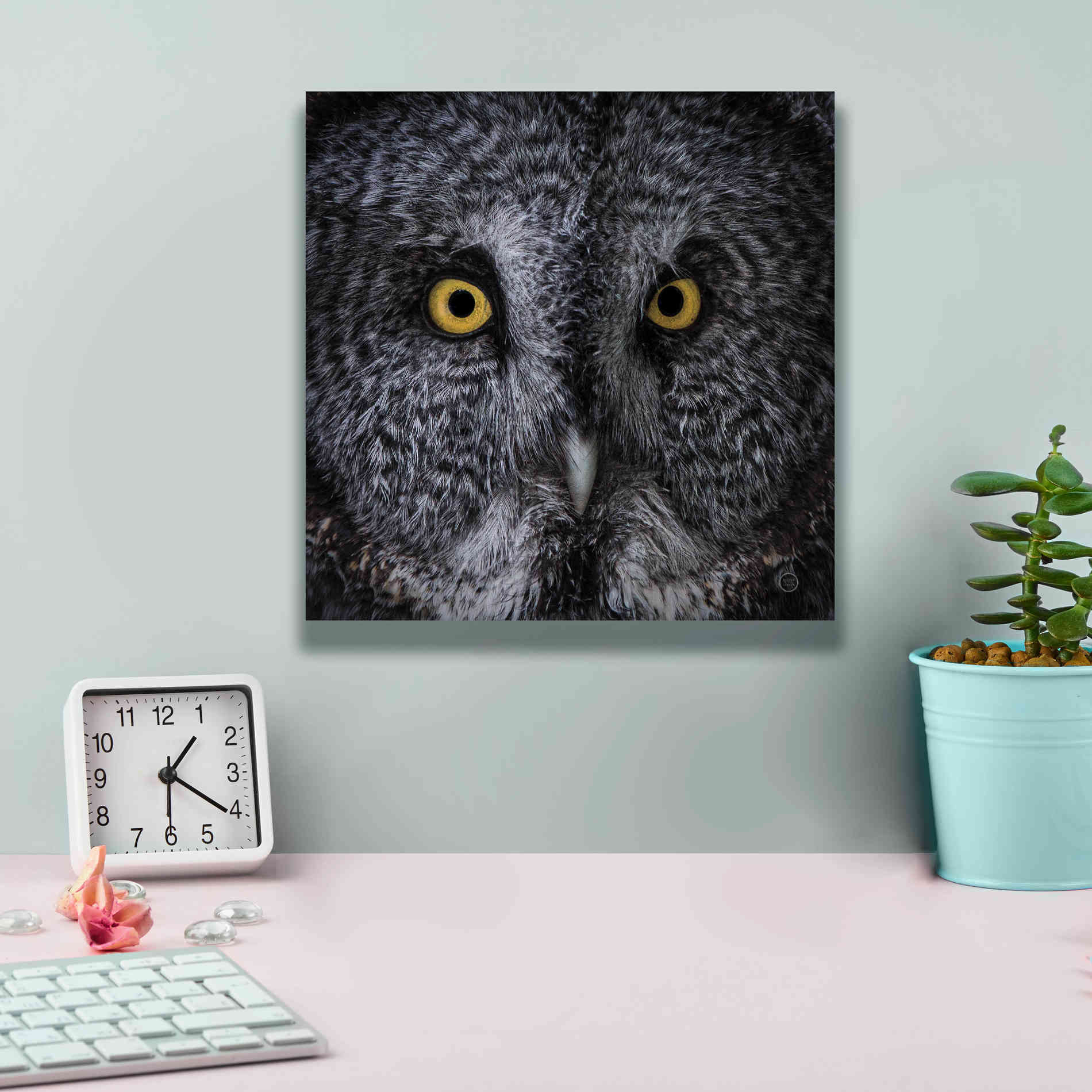 'Great Grey Owl' by Nathan Larson, Canvas Wall Art,12 x 12