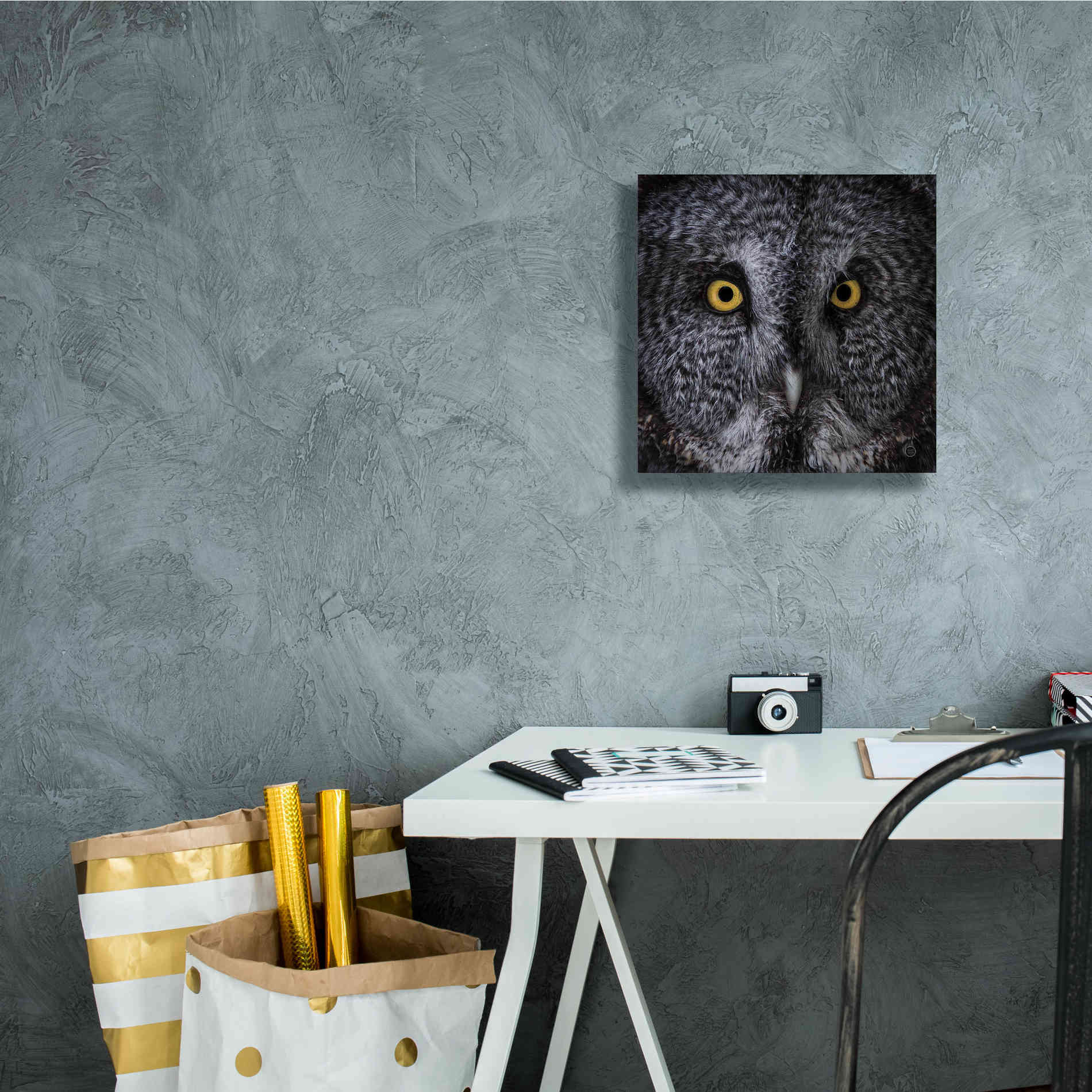 'Great Grey Owl' by Nathan Larson, Canvas Wall Art,12 x 12