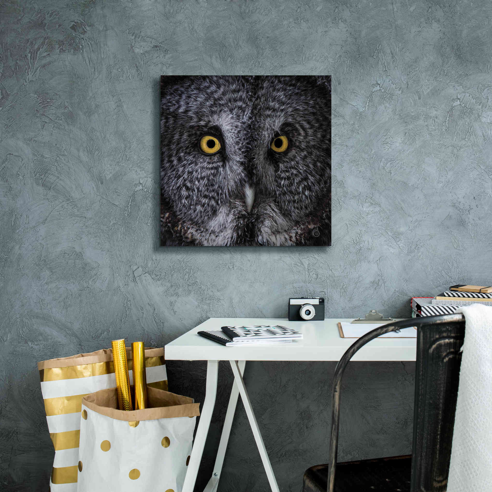 'Great Grey Owl' by Nathan Larson, Canvas Wall Art,18 x 18