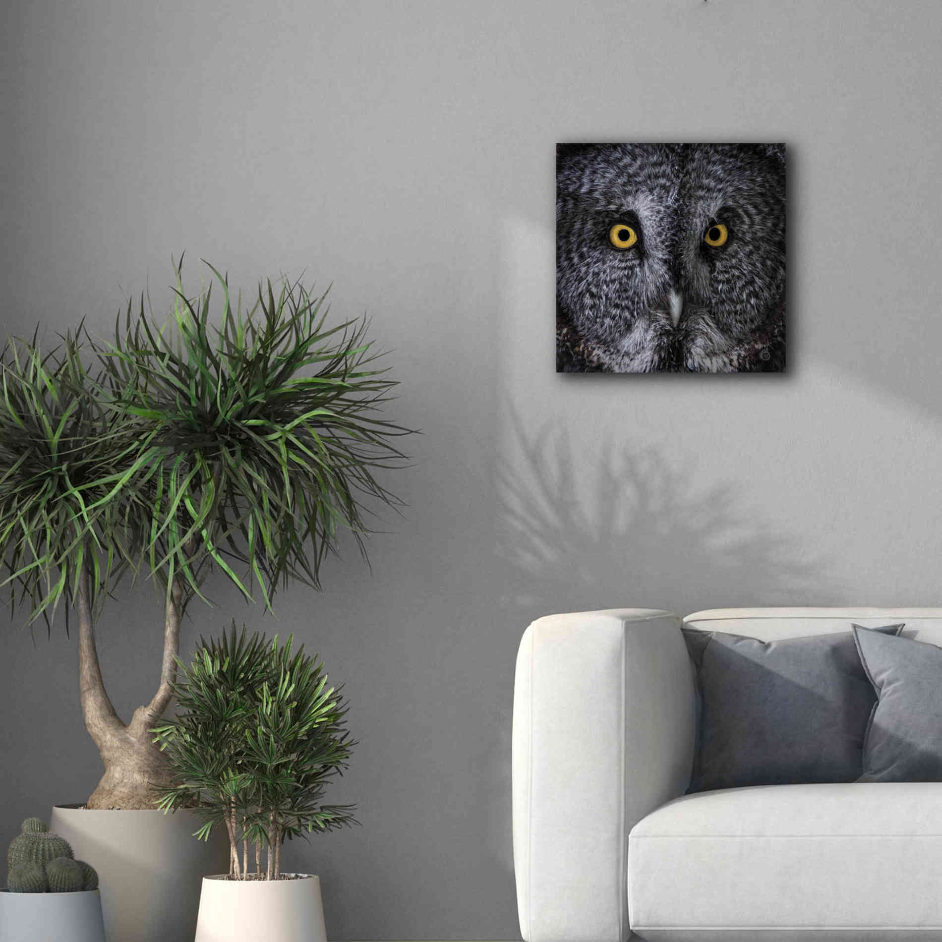 'Great Grey Owl' by Nathan Larson, Canvas Wall Art,18 x 18
