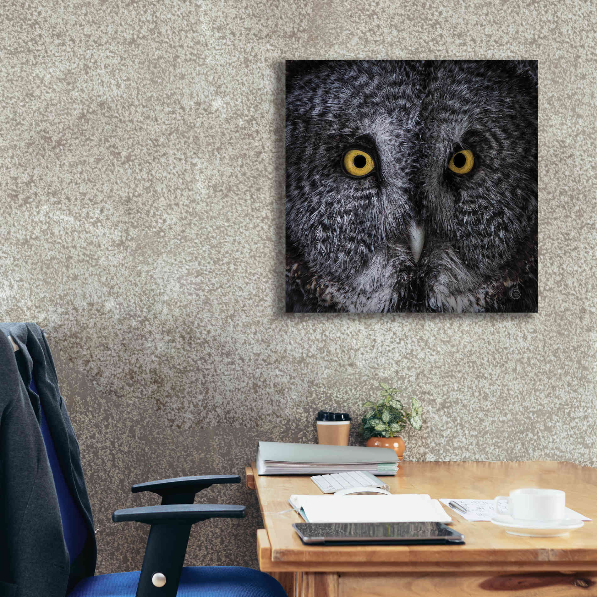 'Great Grey Owl' by Nathan Larson, Canvas Wall Art,26 x 26