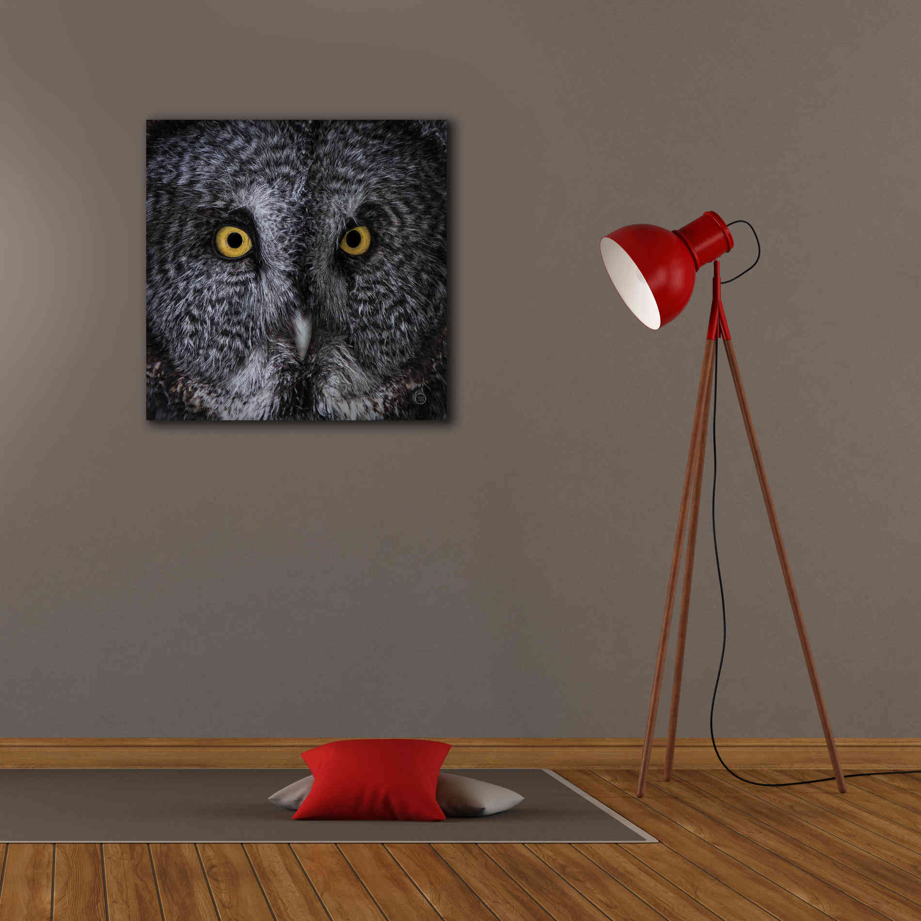 'Great Grey Owl' by Nathan Larson, Canvas Wall Art,26 x 26