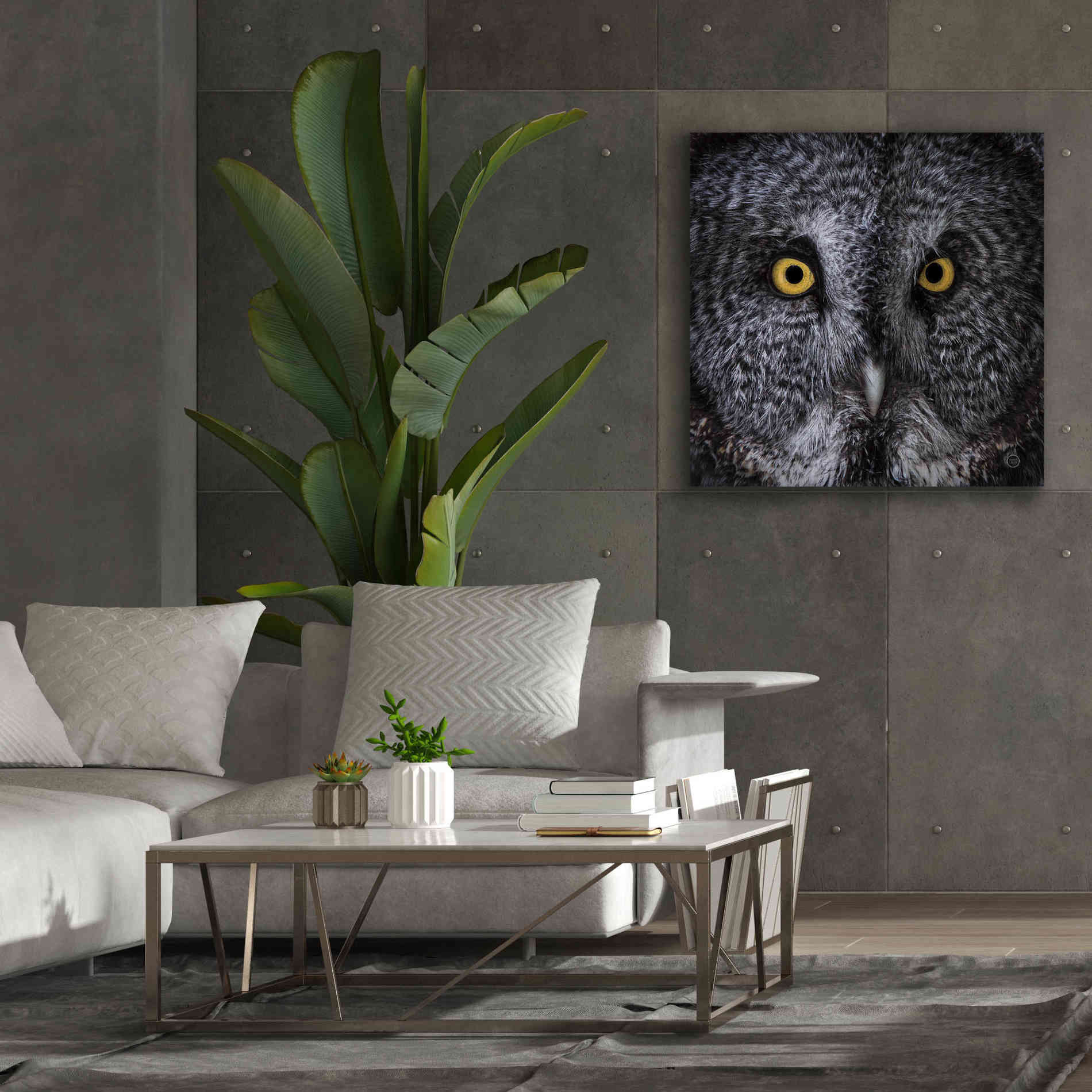 'Great Grey Owl' by Nathan Larson, Canvas Wall Art,37 x 37