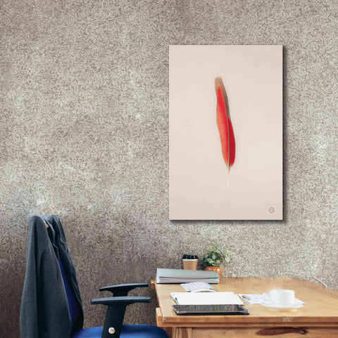 Image of 'Floating Feathers II' by Nathan Larson, Canvas Wall Art,26 x 40