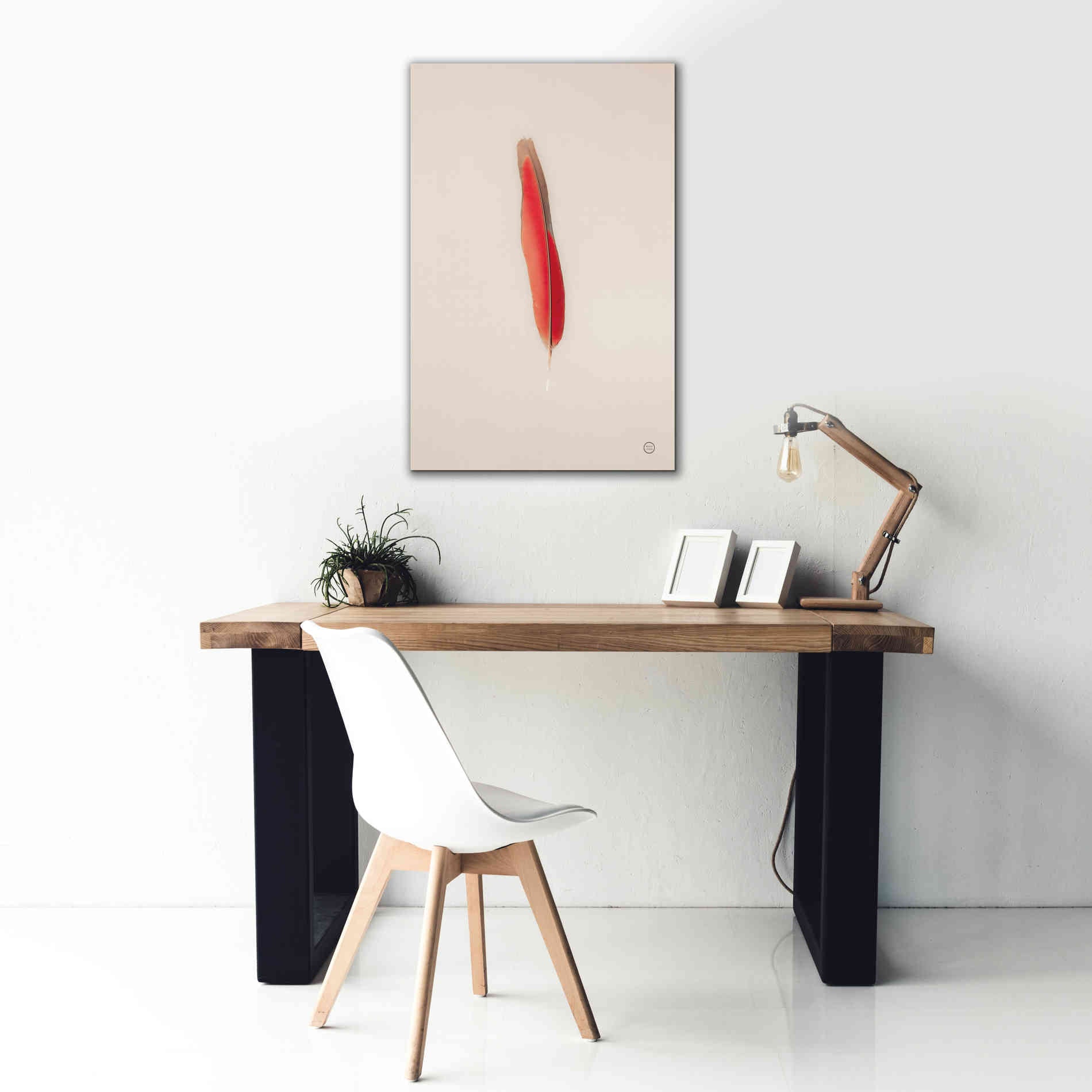'Floating Feathers II' by Nathan Larson, Canvas Wall Art,26 x 40