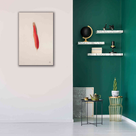 Image of 'Floating Feathers II' by Nathan Larson, Canvas Wall Art,26 x 40