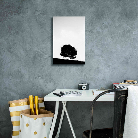 Image of 'Lone Tree Hill' by Nathan Larson, Canvas Wall Art,12 x 18
