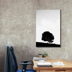 'Lone Tree Hill' by Nathan Larson, Canvas Wall Art,26 x 40