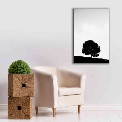 Image of 'Lone Tree Hill' by Nathan Larson, Canvas Wall Art,26 x 40